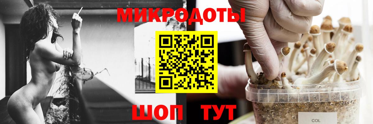 Галлюциногенные грибы Psilocybe  Вход с VPN  Белогорск 